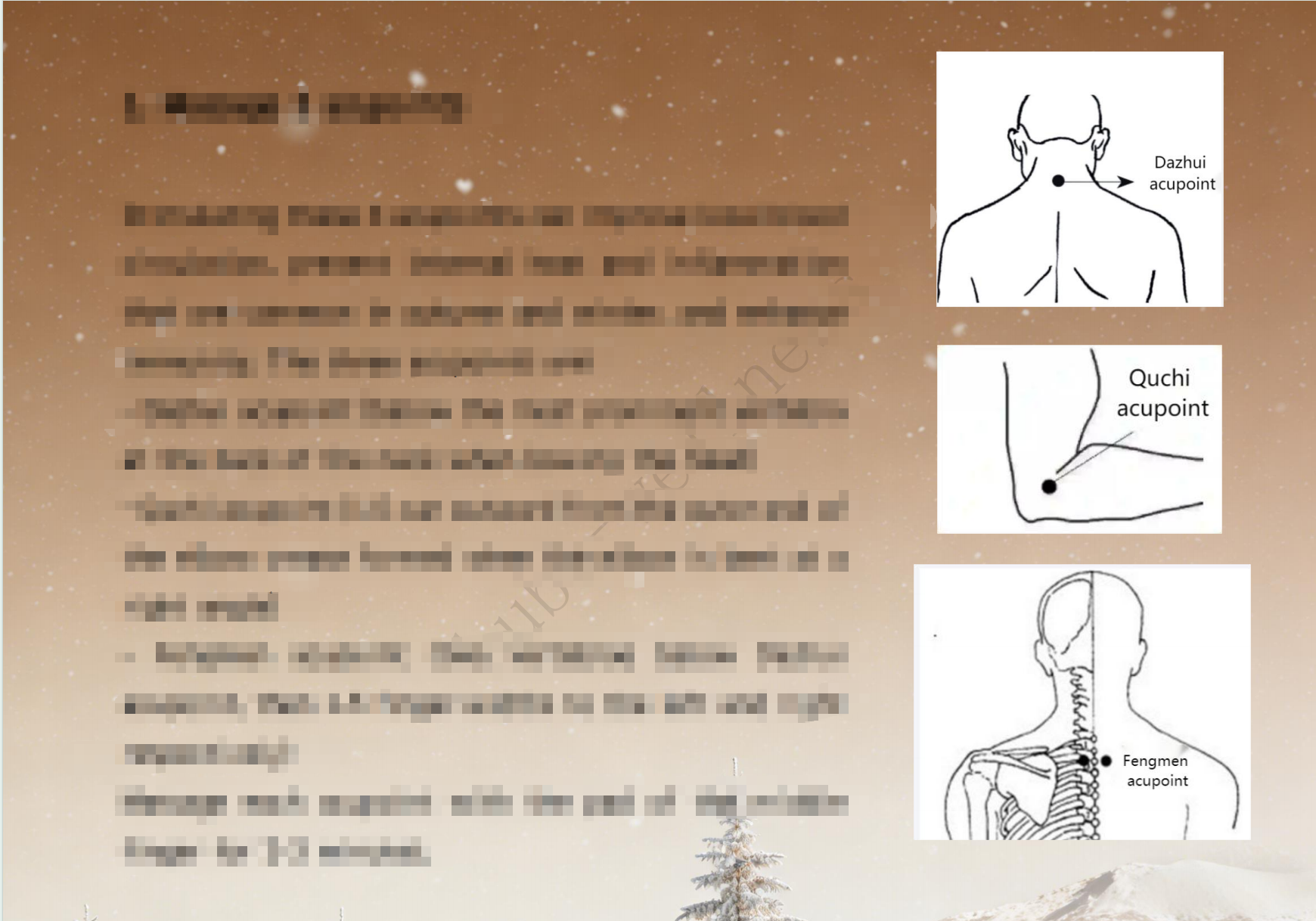 The Winter Protocol (Male Edition)